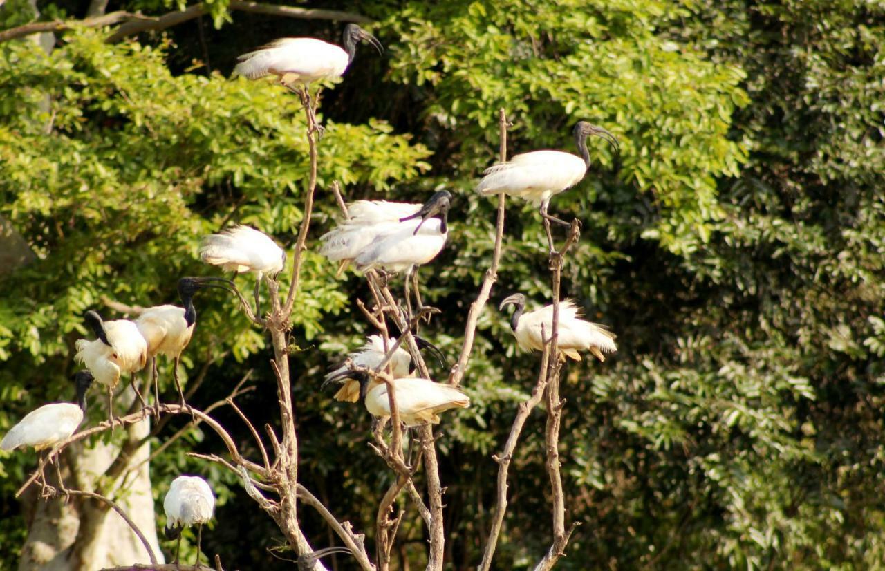 Wasgamu Safari Lodge Wasgamuwa Luaran gambar