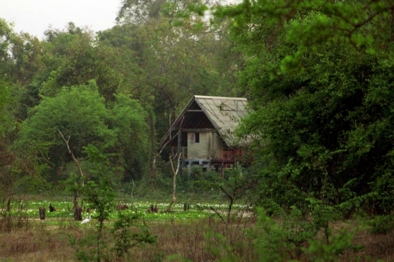 Wasgamu Safari Lodge Wasgamuwa Luaran gambar