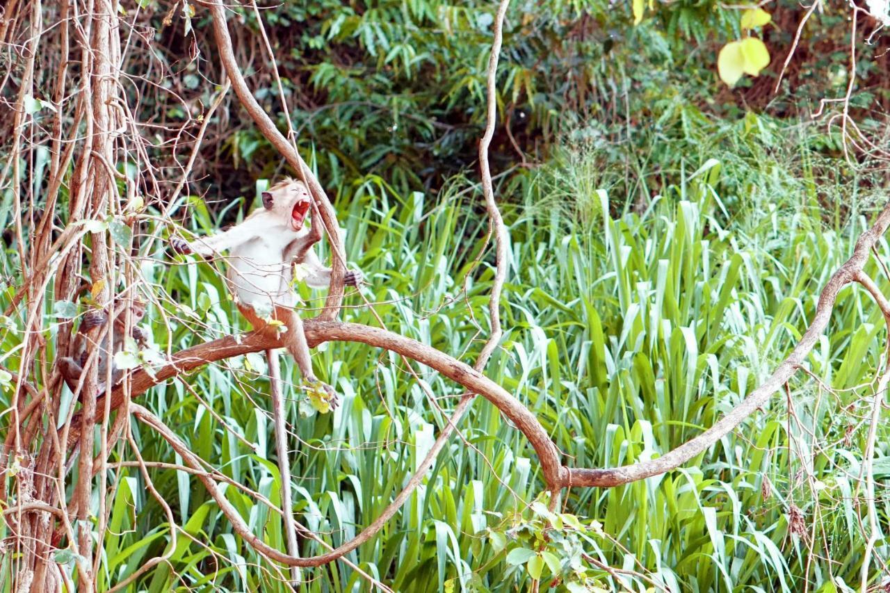 Wasgamu Safari Lodge Wasgamuwa Luaran gambar